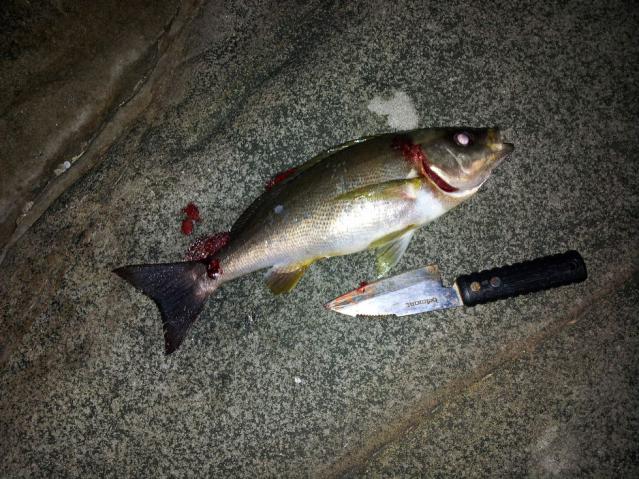 20120710_223500.jpg