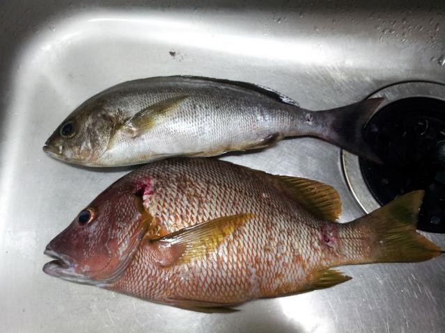 20120721_221106.jpg