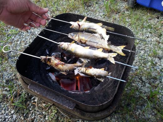 20120825_165728.jpg