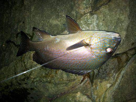 20120920_191215.jpg