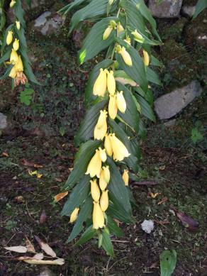 20121007_111720.jpg