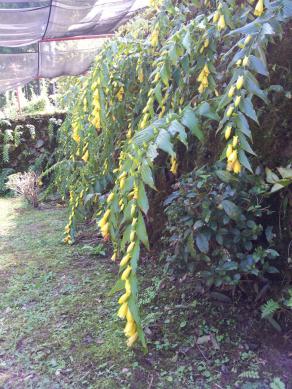 20121007_122252.jpg