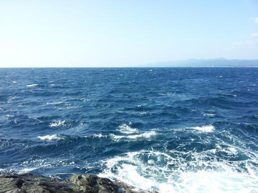 20121107_123102.jpg