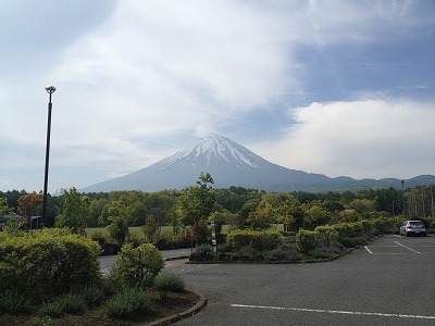 IMG_0569.jpg