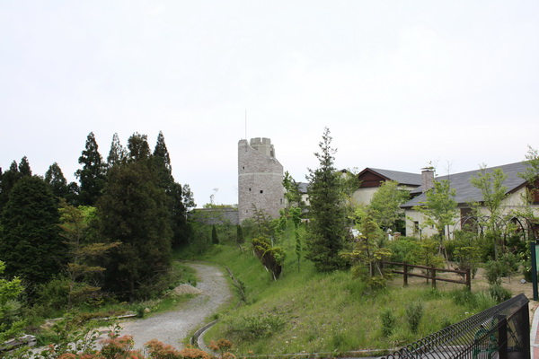 IMG_3822.jpg