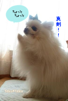 ne_20120508185442.jpg