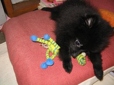 s_20120528222554.jpg