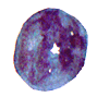 w14.gif