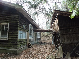 1-2.jpg