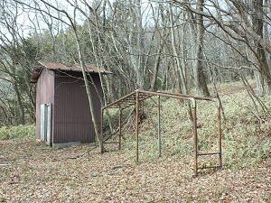 DSCF7032.jpg