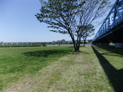 DSCF0263.jpg