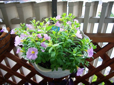 004_20120630095317.jpg