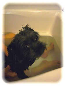 _001_20120720004225.jpg