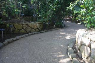 RIMG0261_convert_20121006235052.jpg