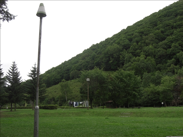 CIMG2334.jpg