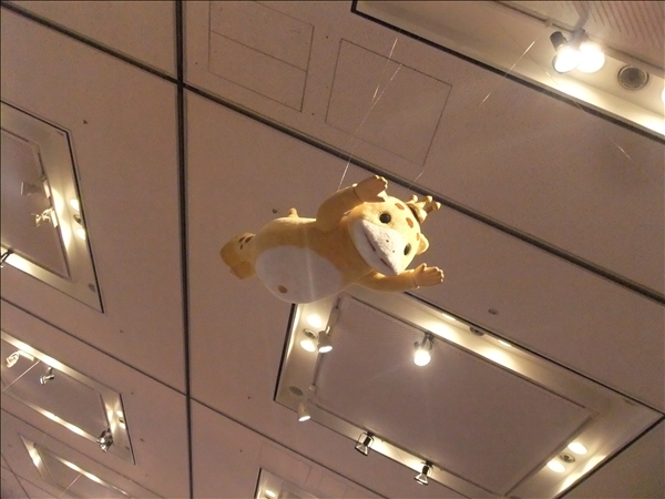 DSCF3035.jpg