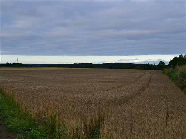 DSC_0335.jpg