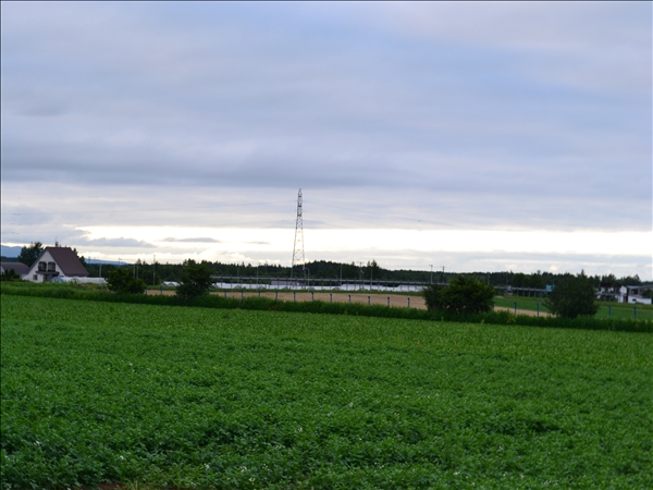 DSC_0344.jpg