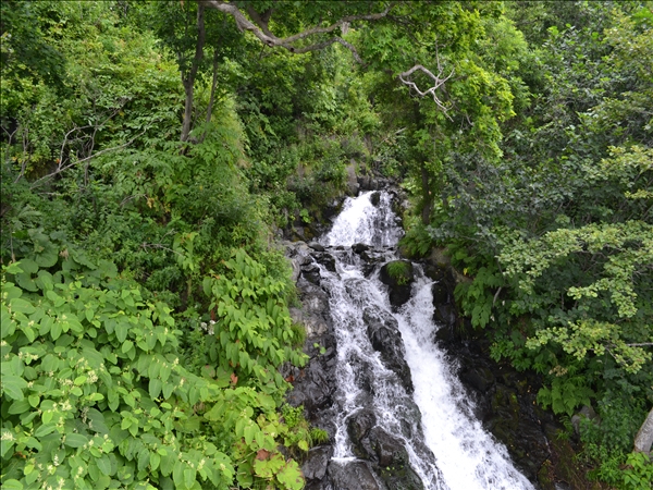 DSC_0375.jpg