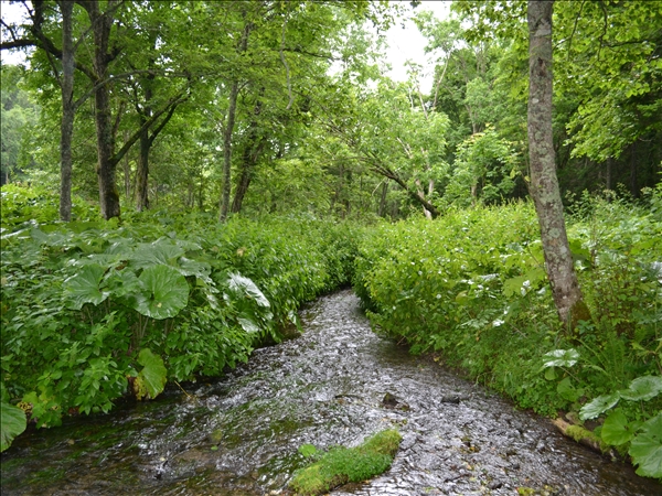 DSC_0403.jpg
