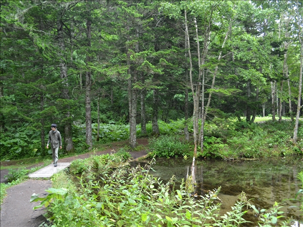 DSC_0415.jpg