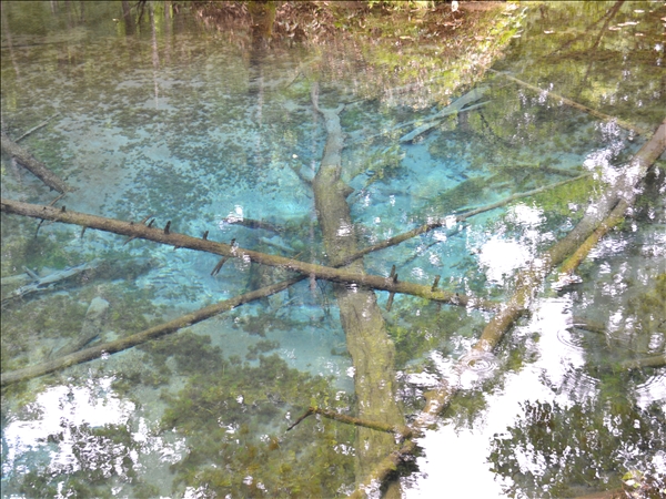 DSC_0423.jpg