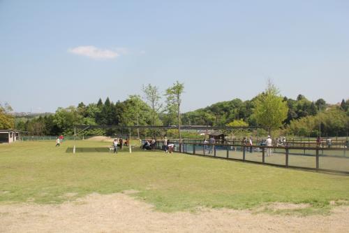 IMG_3188_20120506223452.jpg