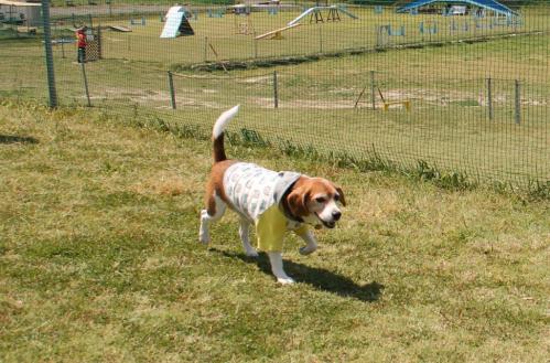 IMG_3268.jpg