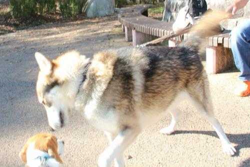 IMG_5535_20121028222207.jpg