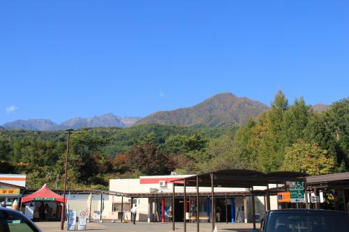IMG_5537.jpg