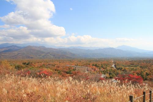 IMG_5591.jpg