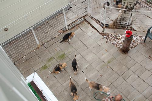 IMG_5684_20121107224856.jpg