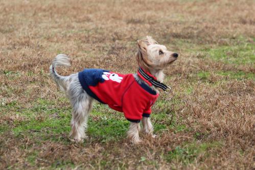 IMG_5840_20121125223552.jpg