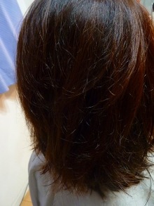 スカイスパのブログ