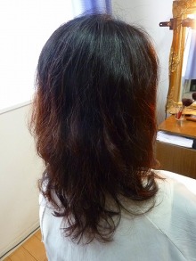 スカイスパのブログ