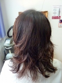 スカイスパのブログ