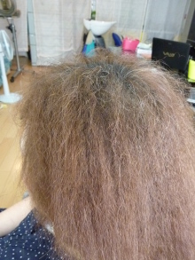 スカイスパのブログ