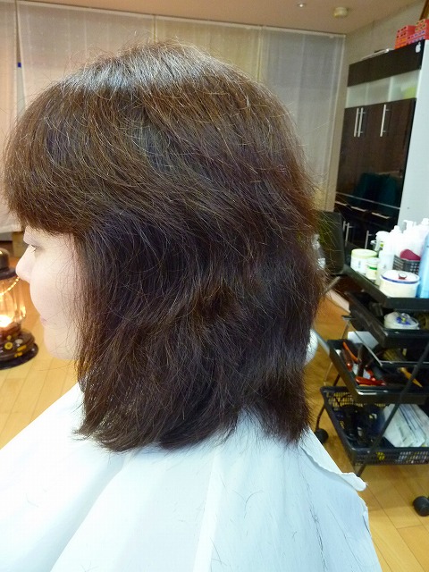 s-P1080460.jpg