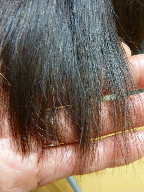 s-P1080813.jpg