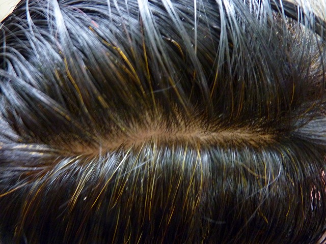 s-P1080823.jpg