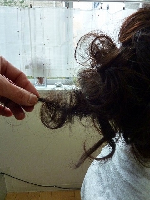s-P1080859.jpg
