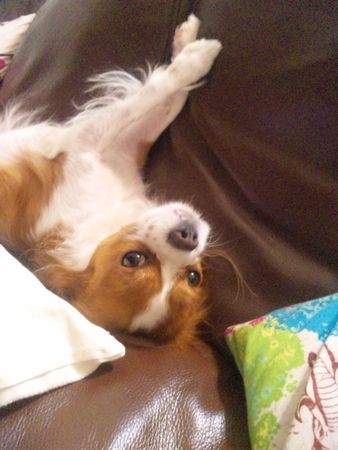 のびー