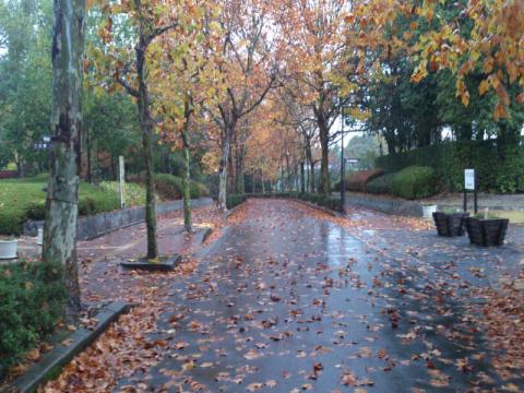 DSC_0048_convert_20121111214648.jpg