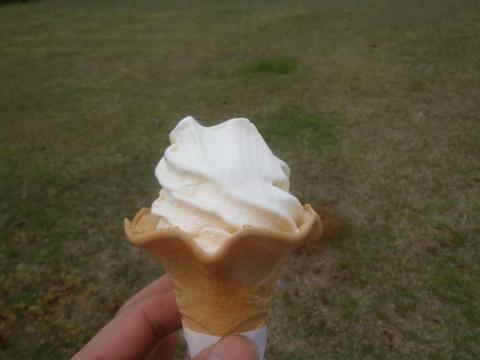 P4290286_convert_20120430185133.jpg