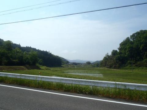 P5260325_convert_20120527193728.jpg