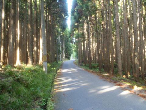 PA210424_convert_20121021221728.jpg
