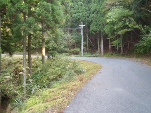 PA210441_convert_20121021222749.jpg