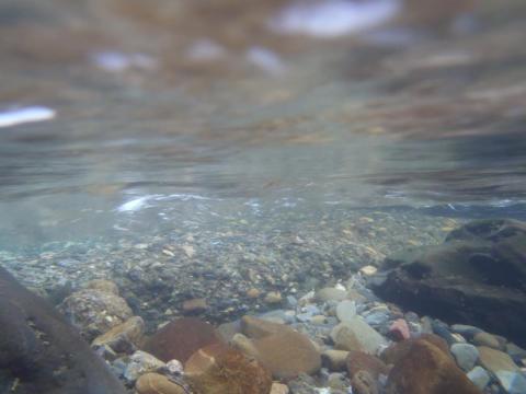 PA210457_convert_20121021223255.jpg