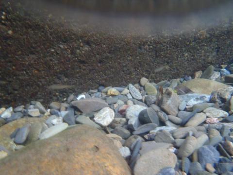 PA210462_convert_20121021223355.jpg