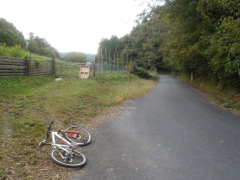PB040484_convert_20121104184649.jpg
